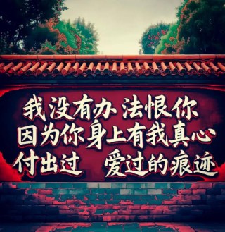 你走了，带走了我的心