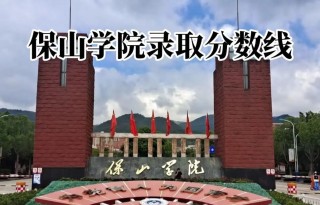 保山学院录取分数线2025是多少分「在各省录取最低分」