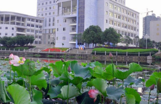 河池学院各专业在湖北招生人数、录取分数线2026（附：招生计划表）