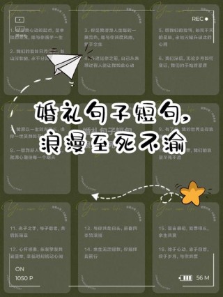 文案天花板的婚礼誓言合集