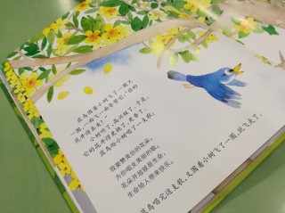在自然环境中感知生命的律动——读诗集《田野诗班》