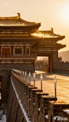 一年后，我又显洛阳