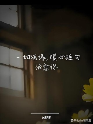 向来缘浅,奈何情深