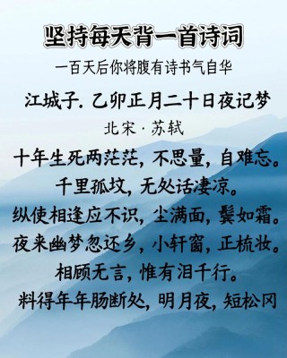 “不思量，自难忘”赏析