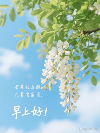 充满阳光的励志心语，激励自己的句子，正能量满满