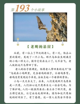 鹰志?励志文章