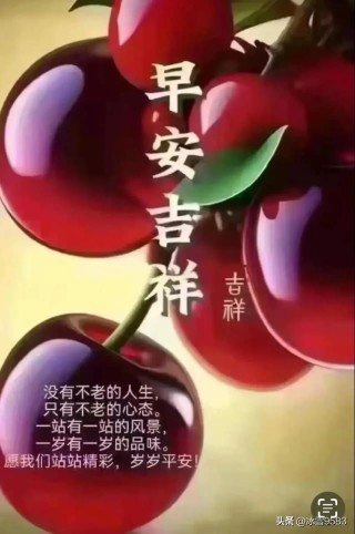 只有一站