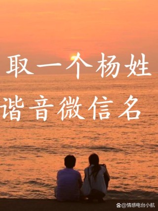 只差点点有天下 （打一姓氏）