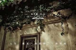夜读｜火车与远行，如诗，如歌