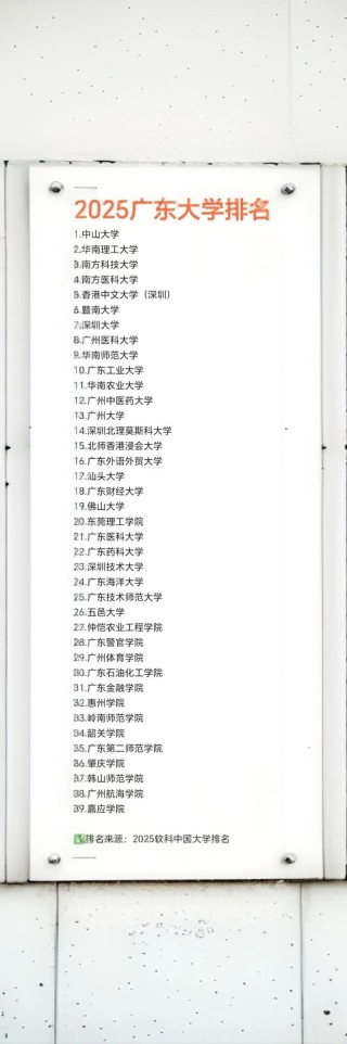 广东历史类510分能上什么学校2025（好大学有哪些）