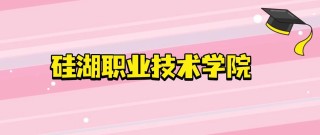 硅湖职业技术学院各专业2026在湖北招生人数、录取分数线（附：招生计划表）