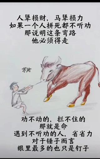良药苦口，忠言逆耳，有舍有得，不舍不得，无一不是处世良方