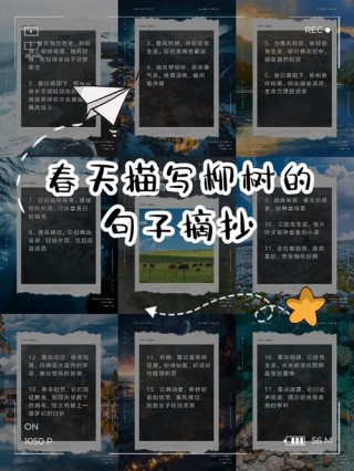 描写春天的优美语句摘抄