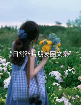 朋友圈日常简短高级文案