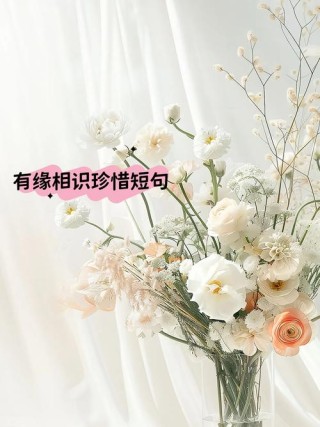 珍惜彼此感情的句子，珍惜心间情深意长的句子
