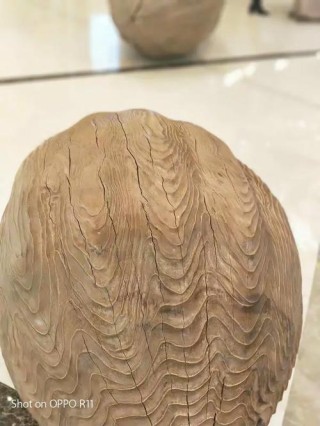 飘泊的味道