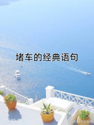 堵车路上，要被这些标语笑鼠，五菱盟主也太酷了！