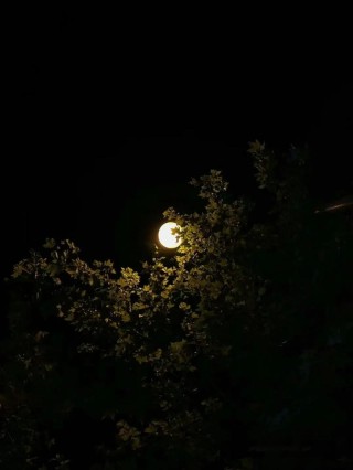 深夜