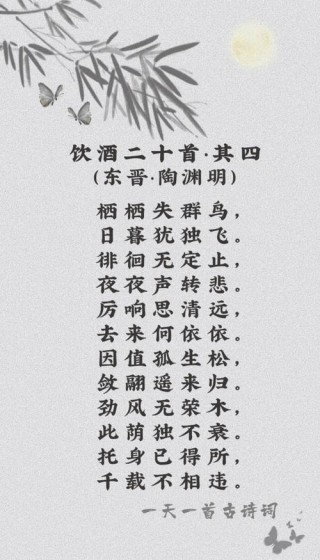 精选100句和酒有关的诗句（每一句都很美）