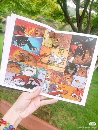 《相信自己，成为翱翔的雄鹰》，儿童励志故事