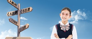 2026新高考志愿录取规则及填报技巧！附全国各省冲稳保个数建议