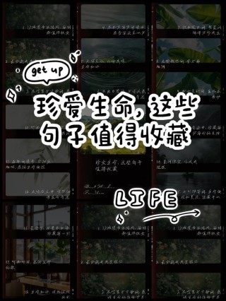 关于珍爱生命的名言，珍爱生命，感悟名言的智慧