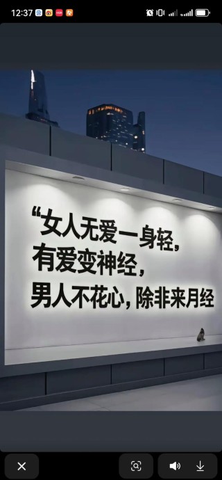 爱人先爱己，少说对不起