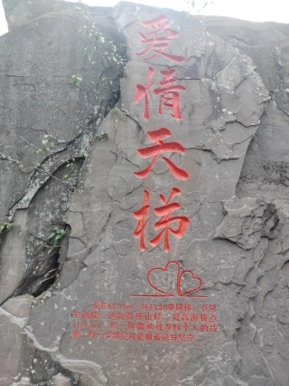 爱情天梯