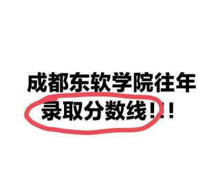 成都东软学院各专业在江苏招生人数、录取分数线2026（附：招生计划表）