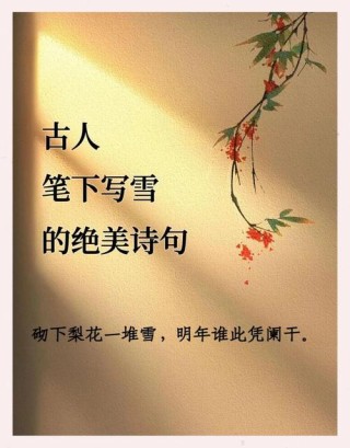 吟成白雪心如素，影入梅花动诗情。15首诗词赞雪之美，却不带雪字
