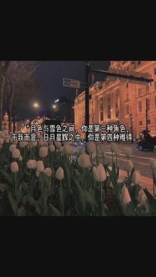 跟星星有关的唯美句子 | 山野千里，你是我藏在星星里的浪漫