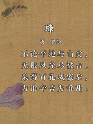 诗词丨一朵浅花，一只蜂来，采撷蜜甜