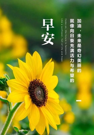 新的一月坚强正能量的人生感悟句子，温馨的早安励志心语短句