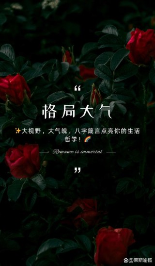 格局思维金句
