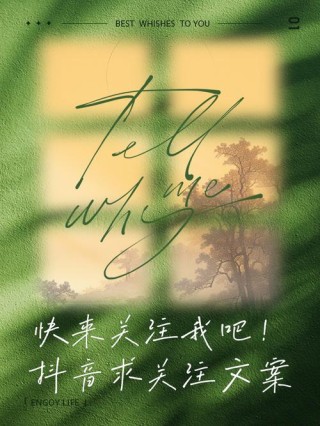 一句话让别人关注你，如何用一句话吸引他人关注你，展现独特魅力与价值。
