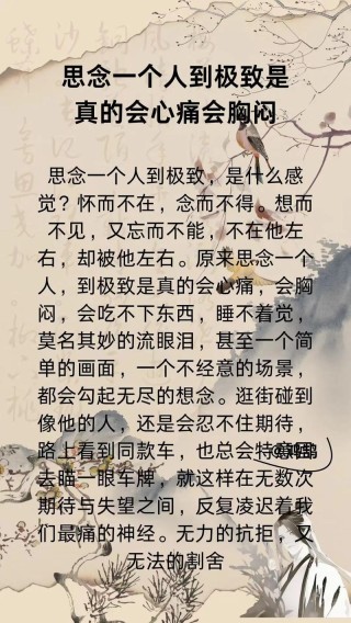 品读那一份思念