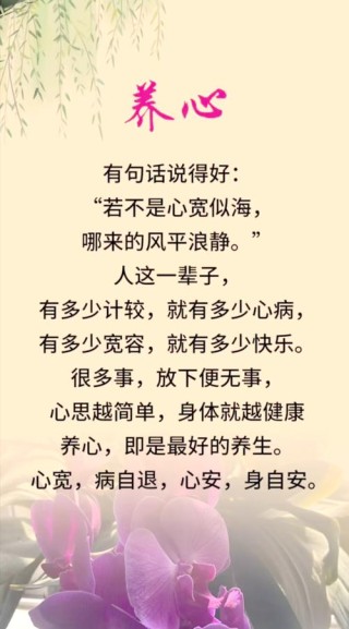 那些让人心静优美的句子