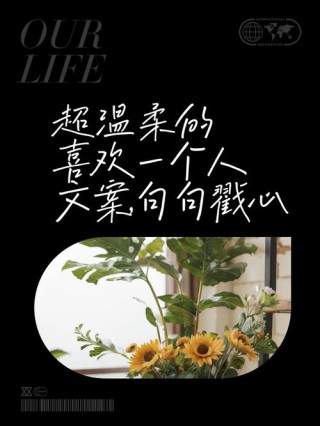 唯美句子‖以前喜欢一个人，现在喜欢一个人