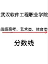 武汉软件工程职业学院2026各专业在湖南招生人数、录取分数线（附：招生计划表）