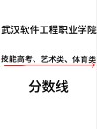 武汉软件工程职业学院2026各专业在湖南招生人数、录取分数线（附：招生计划表）