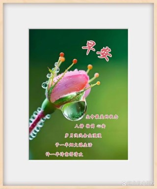 六首最美早安诗词：每一个清晨，都值得为之醒来