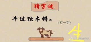 言过饰非 （打一字）