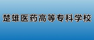 楚雄医药高等专科学校在黑龙江2026各专业招生人数、录取分数线（附：招生计划表）