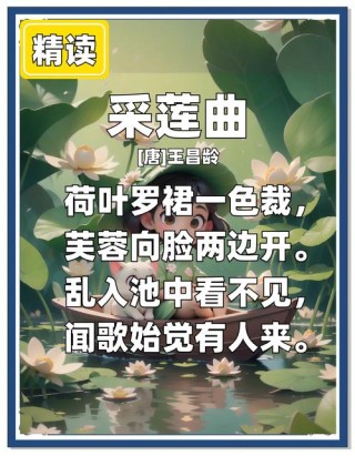 七月，莲的心事