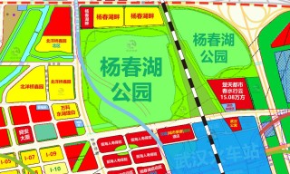 从高铁武汉站（青山区杨春湖）到武汉大学口腔医院如何坐车最好地铁公交都说明（从杨春湖到武汉大学坐地铁怎么走）