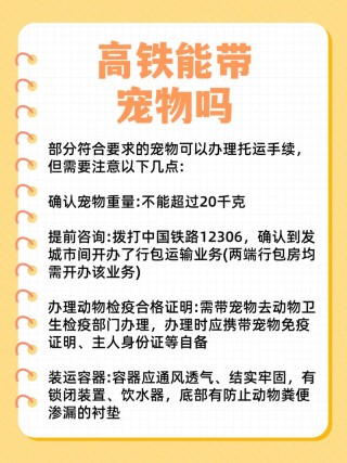 武汉龙猫可不可以上地铁(武汉动车和火车还有地铁上可以带小型宠物吗)