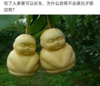 不吃唐僧肉,常吃这些水果照样长生不老