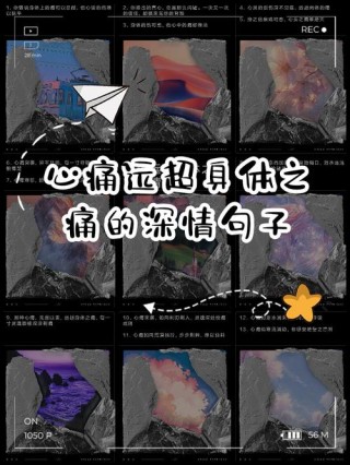 放不下一段感情的说说，深情催泪，痛到心碎