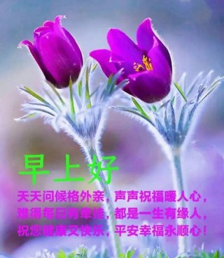 9月8日白露经典美丽的早安问候祝福语句，清晨早上好唯美祝福图片