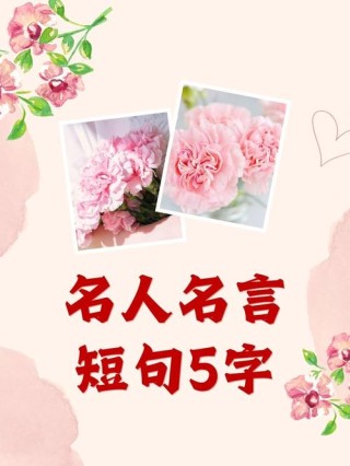 名人名言短句，名人名言精选短句